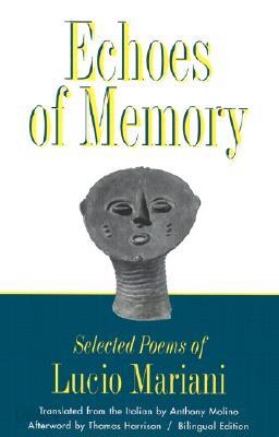 Echoes of Memory