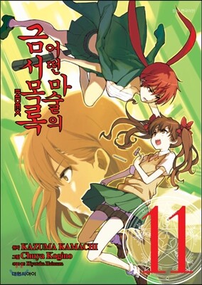 대원  어떤 마술의 금서목록 11