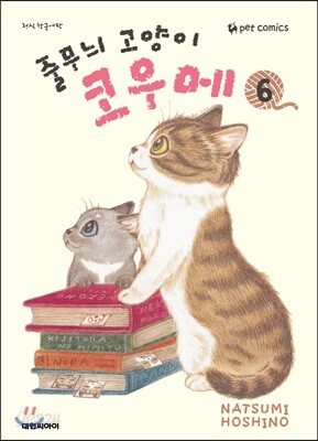줄무늬 고양이 코우메 6