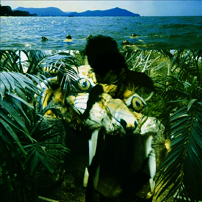 Local Natives,Sylvan Esso — Dark Days 앨범 커버