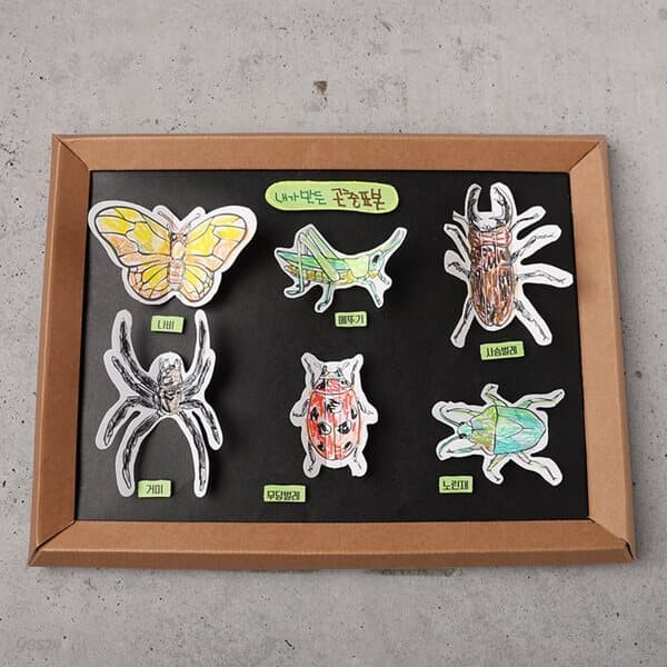아트랄라 신기한 곤충표본만들기 (1개) 여름 과학 곤충수업 종이공예 나비 사슴벌레 수업키트