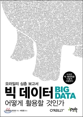 빅 데이터, 어떻게 활용할 것인가
