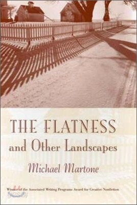 The Flatness and Other Landscapes