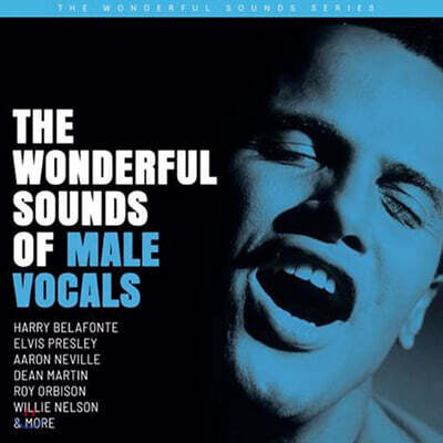 Various Artists — 팝/재즈 남성 보컬 모음집 (The Wonderful Sounds of Male Vocals) 앨범 커버