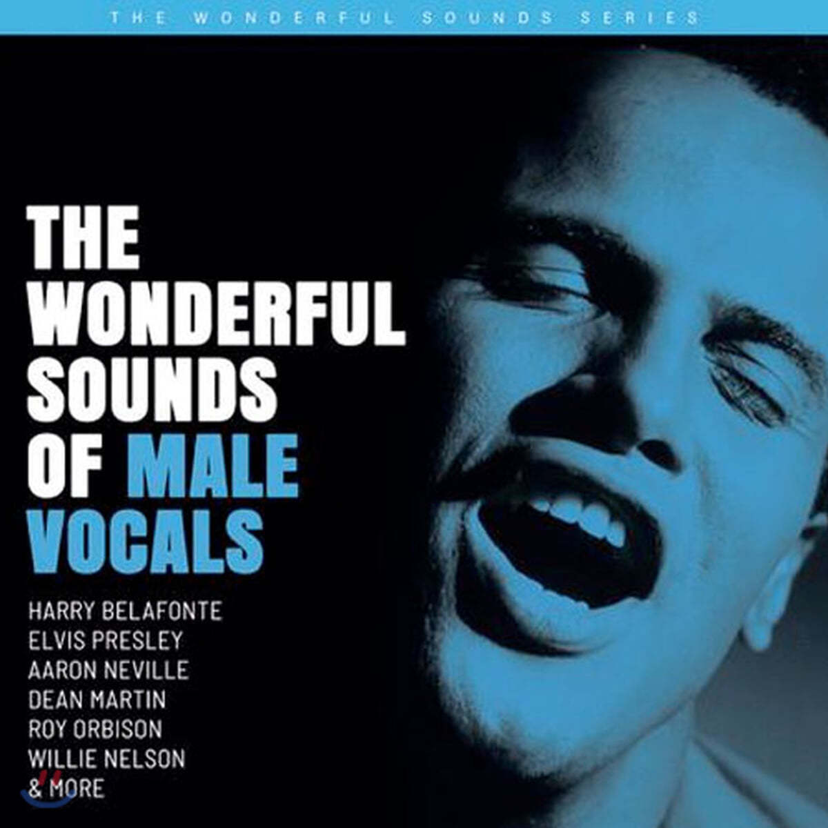 팝/재즈 남성 보컬 모음집 (The Wonderful Sounds of Male Vocals) [2LP]
