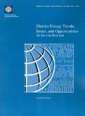 District Energy Trends, Issues, and Opportunities: The Role of the World Bank