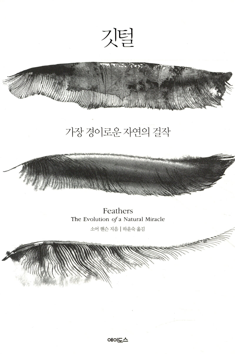 깃털