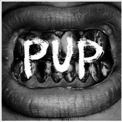 Pup — Pup 앨범 커버