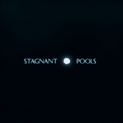 Stagnant Pools — Temporary Room 앨범 커버