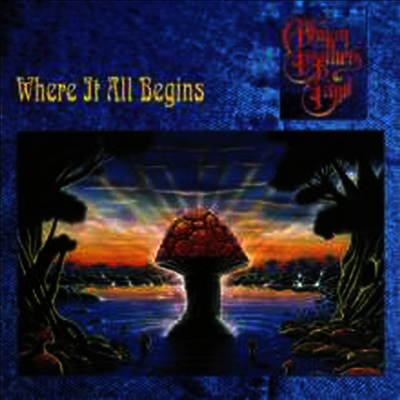 Allman Brothers Band — Where It All Begins (Gatefold Cover) 앨범 커버