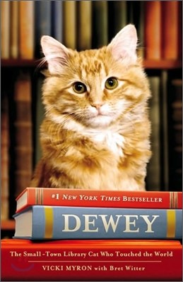 Dewey : the Library Cat