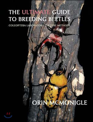 The Ultimate Guide to Breeding Beetles: Coleoptera Laboratory Culture Methods