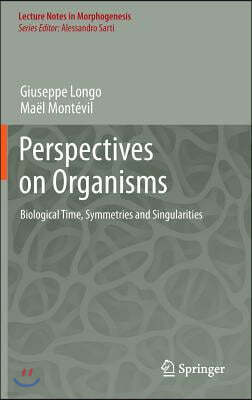 Perspectives on Organisms: Biological Time, Symmetries and Singularities