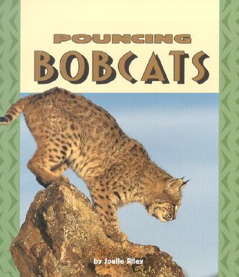 Pouncing Bobcats