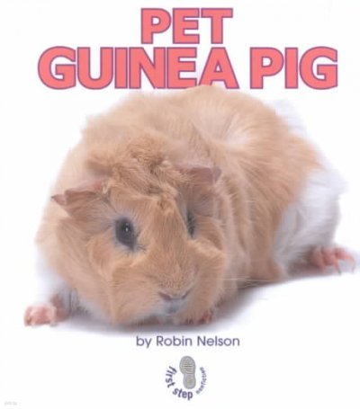 Pet Guinea Pig