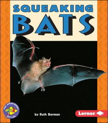 Squeaking Bats