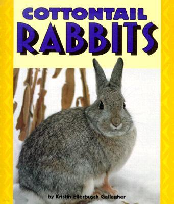 Cottontail Rabbits