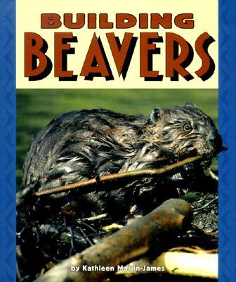 Building Beavers