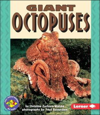 Giant Octopuses