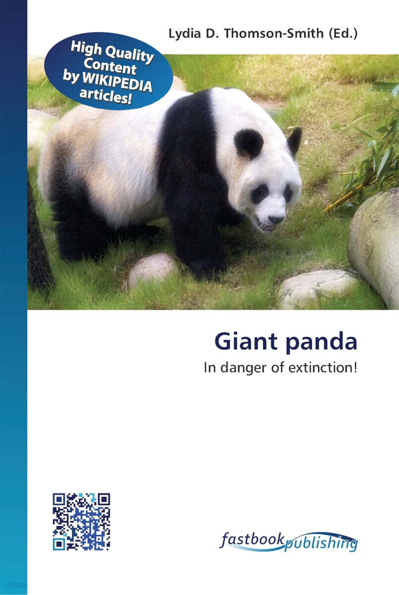 Giant panda - YES24
