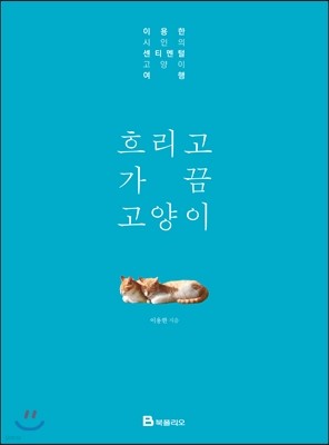 흐리고 가끔 고양이