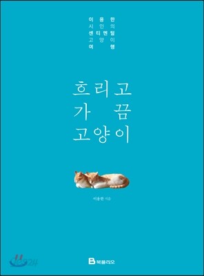 흐리고 가끔 고양이