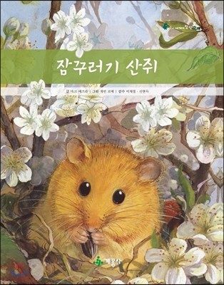 잠꾸러기 산쥐