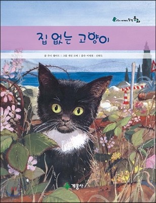 집 없는 고양이