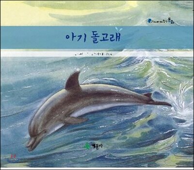 아기 돌고래