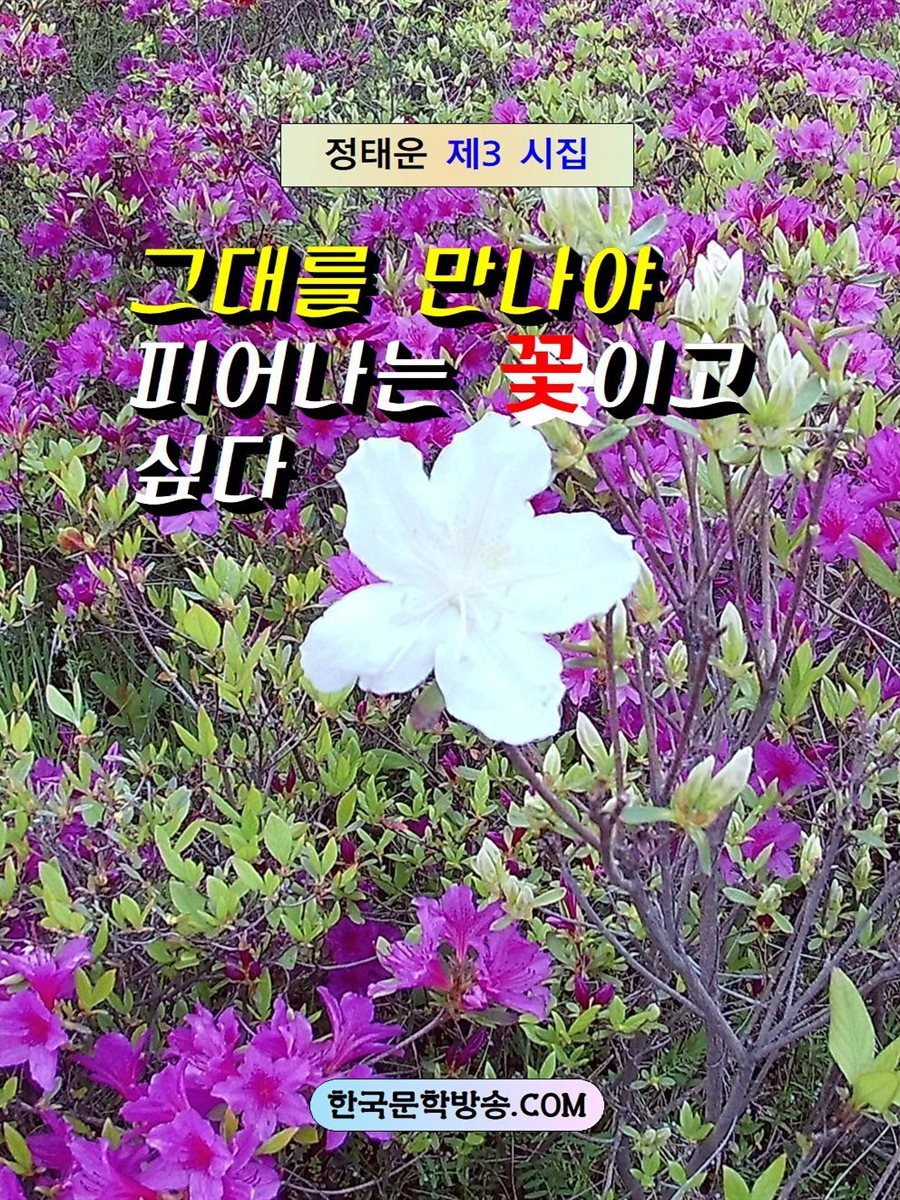 그대를 만나야 피어나는 꽃이고 싶다