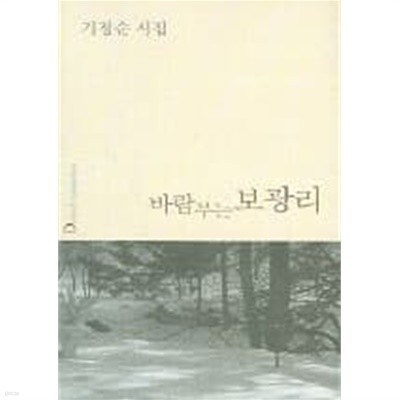 바람부는 보광리