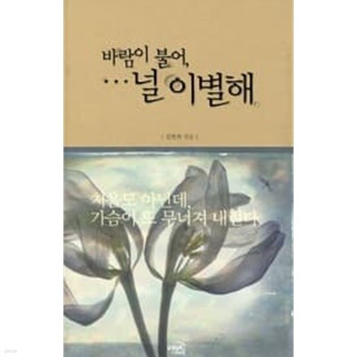 바람이 불어, 널 이별해 /(김현희/CD 없음)