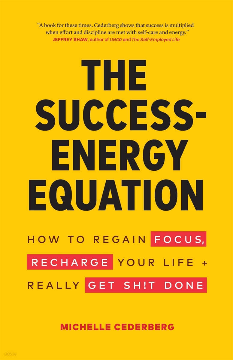 The Success-Energy Equation: How to Regain your Focus, Recharge your Life and Really Get Sh!t Done