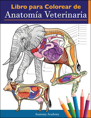 Libro para colorear de anatomia veterinaria: Libro de trabajo para colorear de autoevaluacion de fisiologia animal para estudiar y relajarse Un regalo