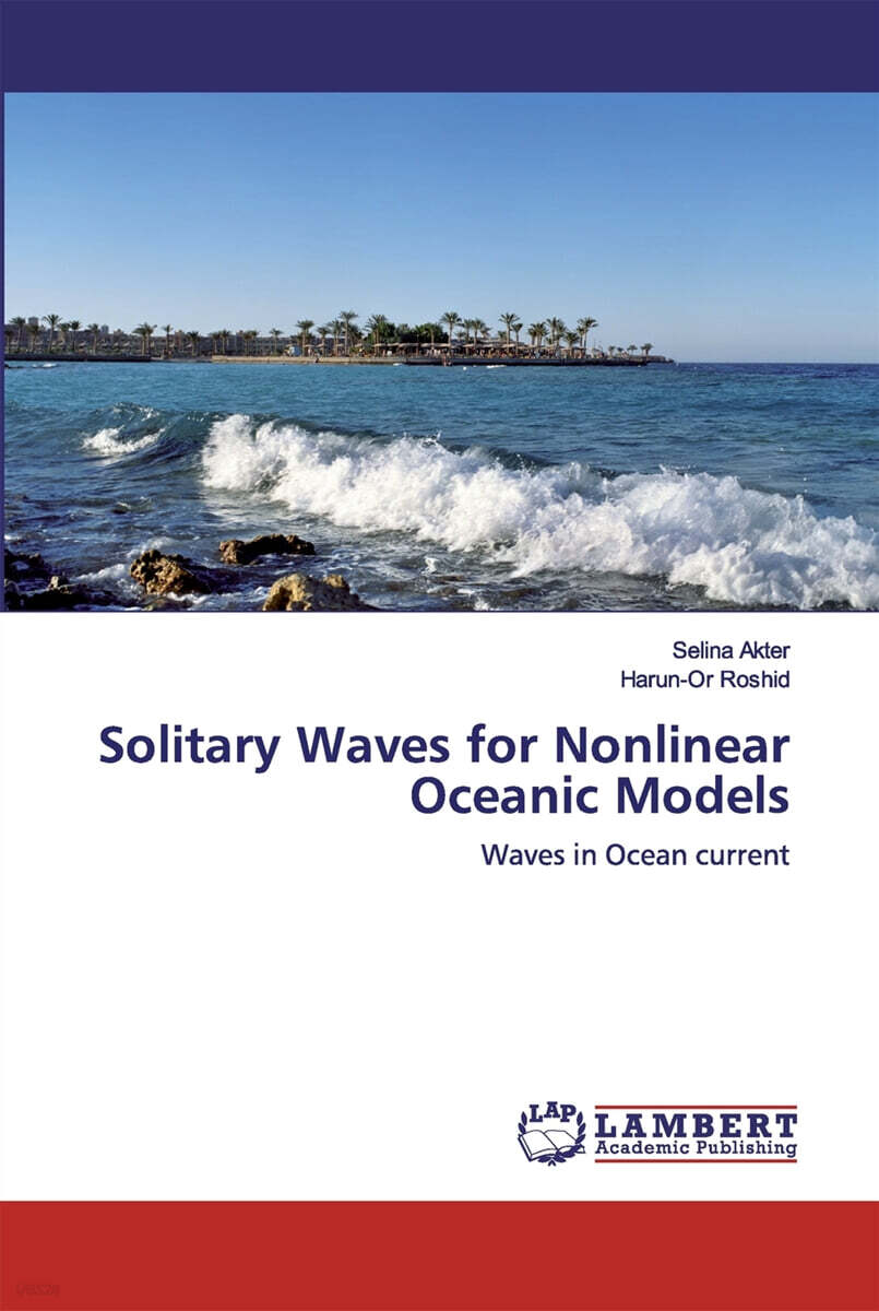 Solitary Waves for Nonlinear Oceanic Models - 예스24
