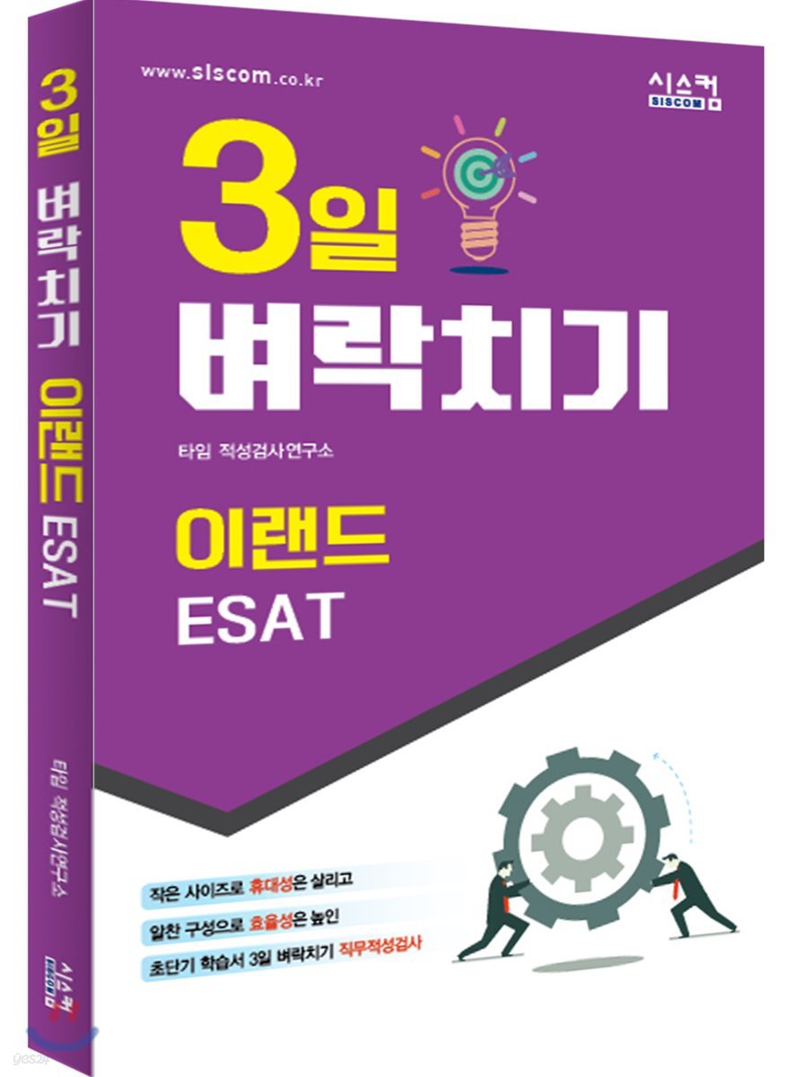 3일 벼락치기 이랜드 ESAT