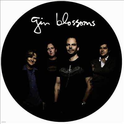 Gin Blossoms — Live In Concert 앨범 커버