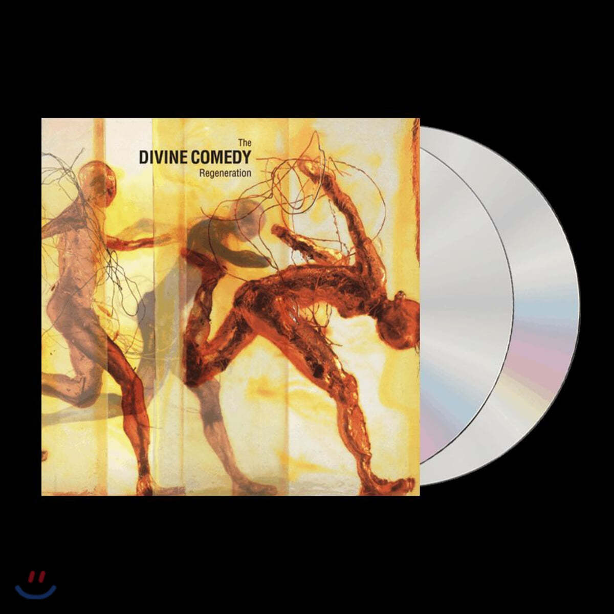 The Divine Comedy (더 디바인 코미디) - 7집 Regeneration
