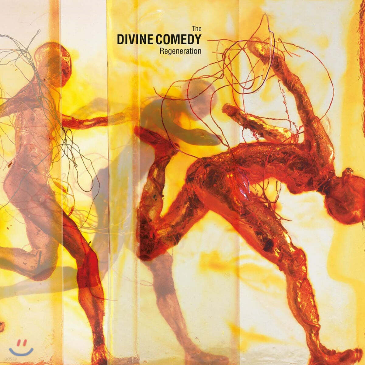 The Divine Comedy (더 디바인 코미디) - 7집 Regeneration [LP]