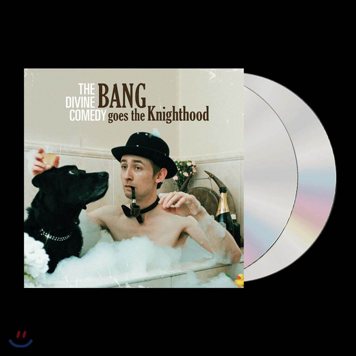 The Divine Comedy (더 디바인 코미디) - 10집 Bang Goes The Knighthood 