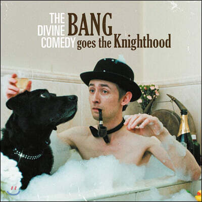 The Divine Comedy (더 디바인 코미디) - 10집 Bang Goes The Knighthood [LP]