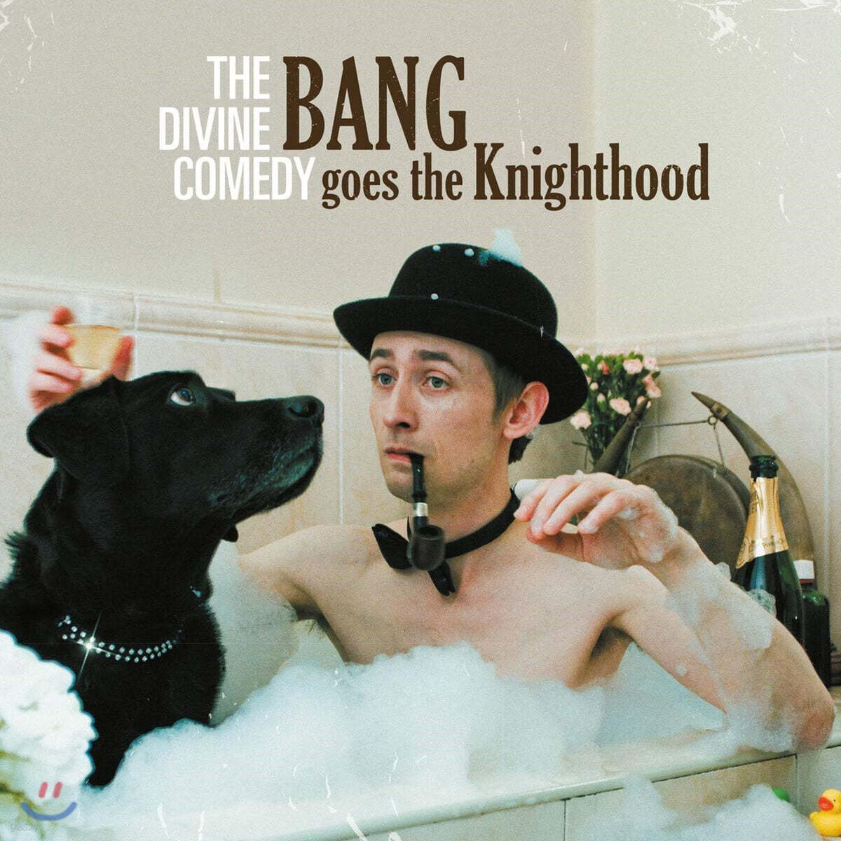 The Divine Comedy (더 디바인 코미디) - 10집 Bang Goes The Knighthood [LP]