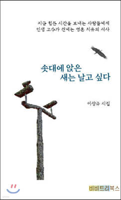 솟대에 앉은 새는 날고 싶다