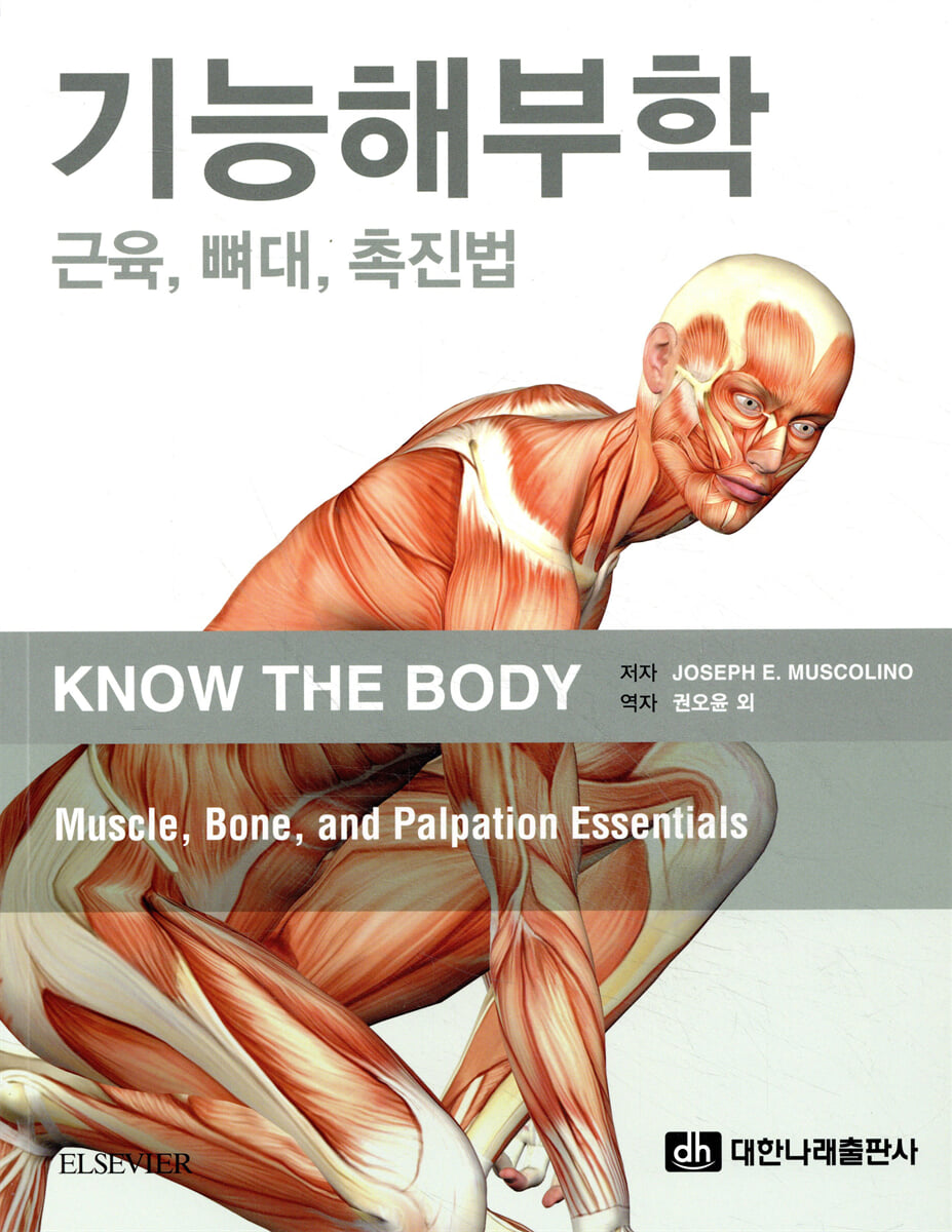 기능해부학