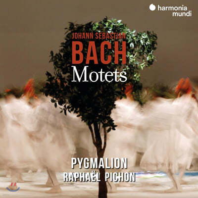 Pygmalion : Ʈ BWV225-230 (J.S. Bach: Motets) 