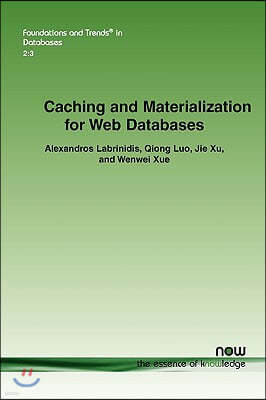 Caching and Materialization for Web Databases