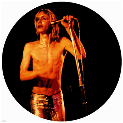 Iggy & The Stooges — More Power 앨범 커버