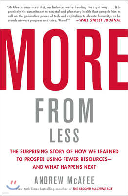 More from Less: The Surprising Story of How We Learned to Prosper Using Fewer Resources--And What Happens Next