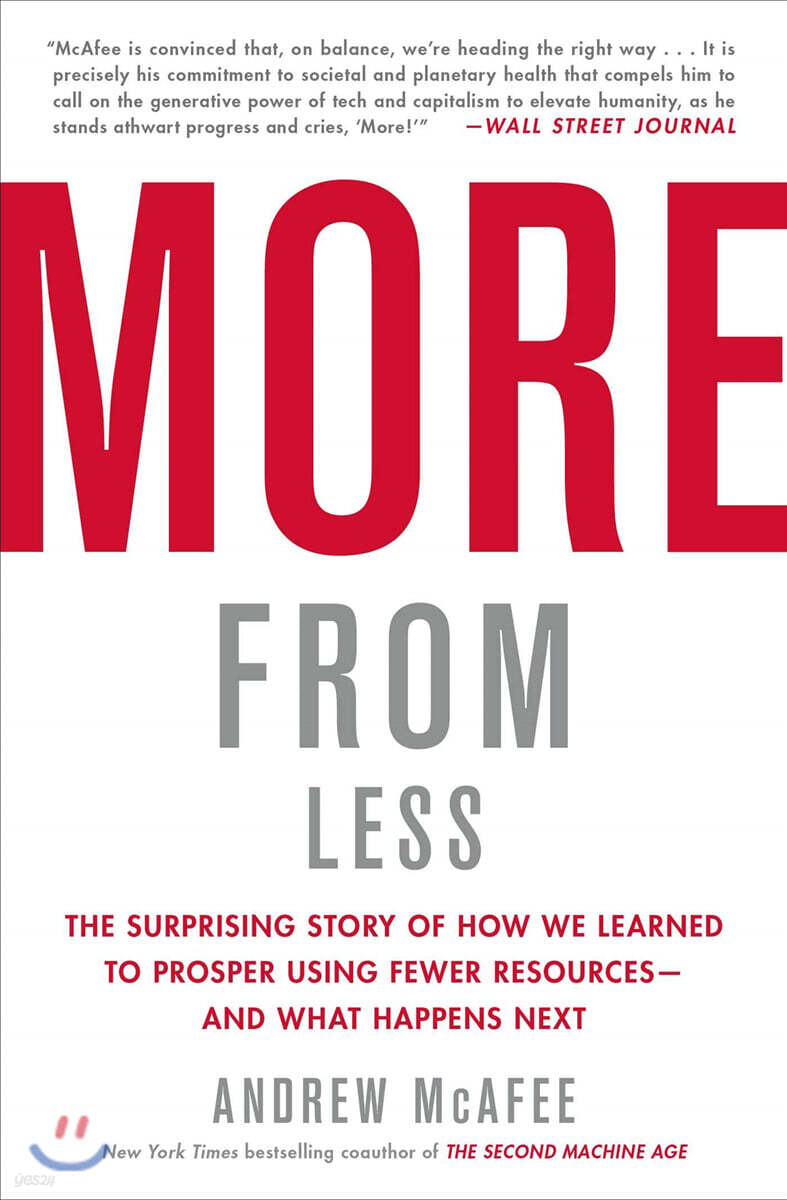 More from Less: The Surprising Story of How We Learned to Prosper Using Fewer Resources--And What Happens Next
