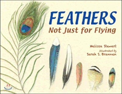 Feathers: Not Just for Flying
